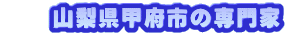 　　山梨県甲府市の専門家