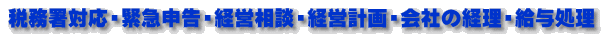 税務署対応・緊急申告・経営相談・経営計画・会社の経理・給与処理