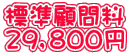 標準顧問料 ２９，８００円